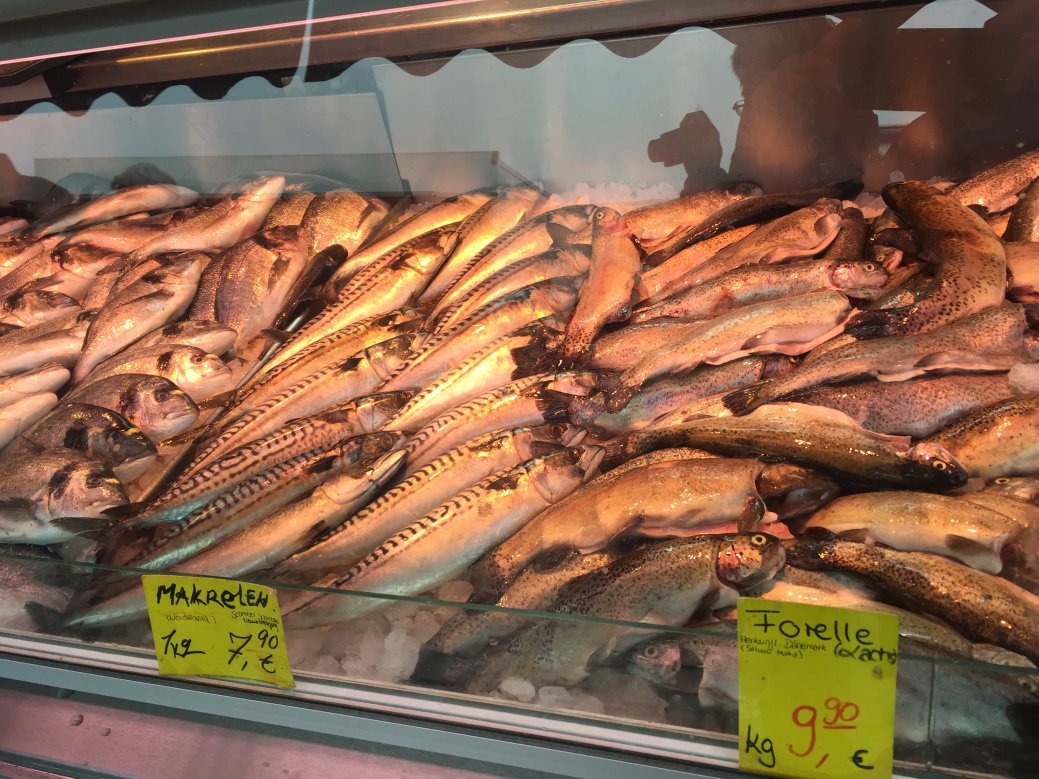 Купить рыбу в рязани